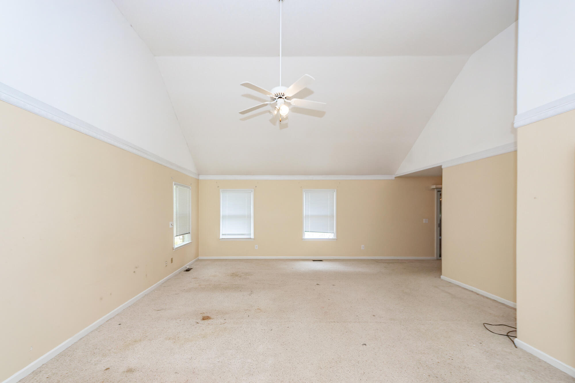 1100 Cass Drive