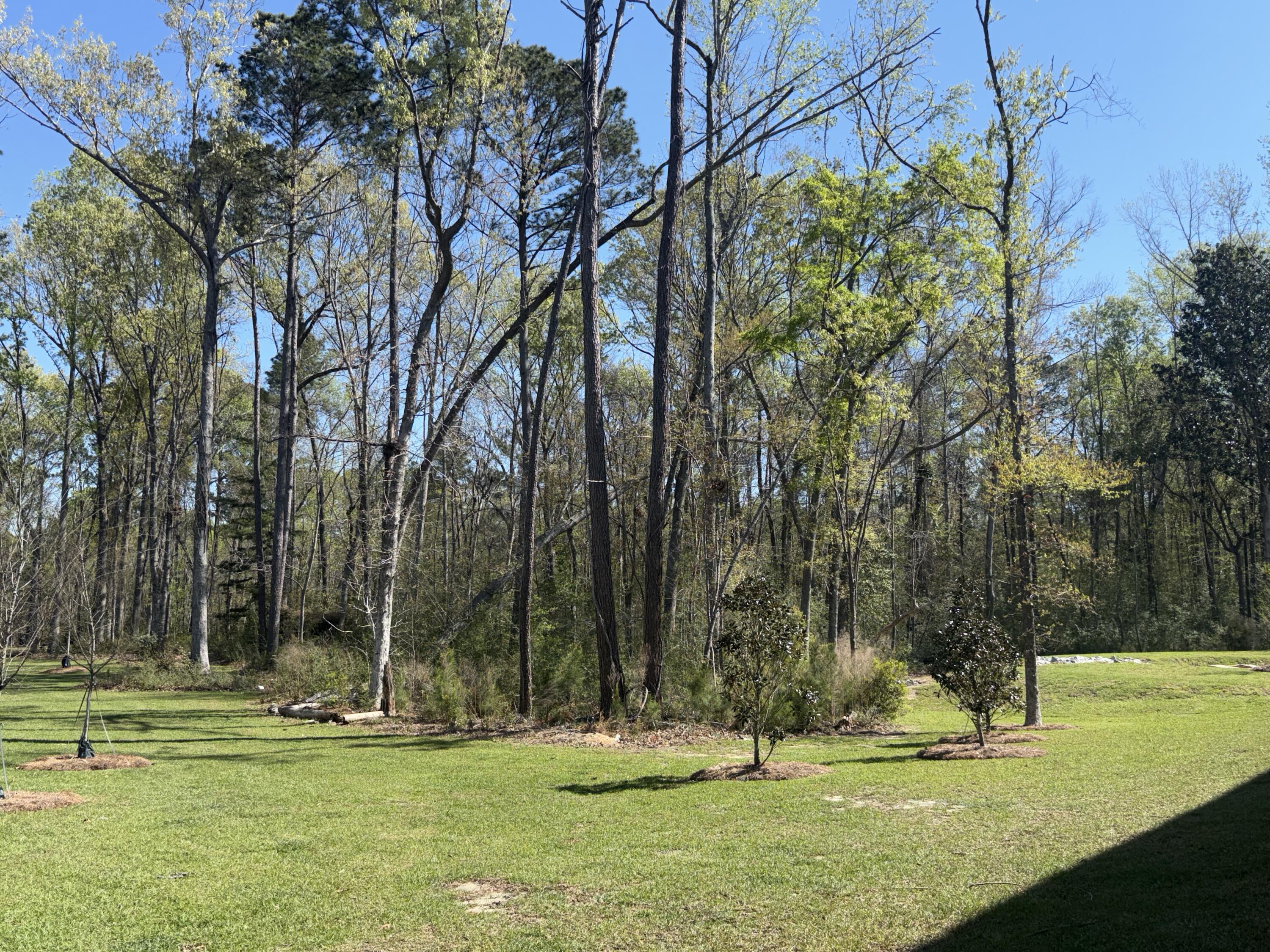 1046 Old Cypress Run