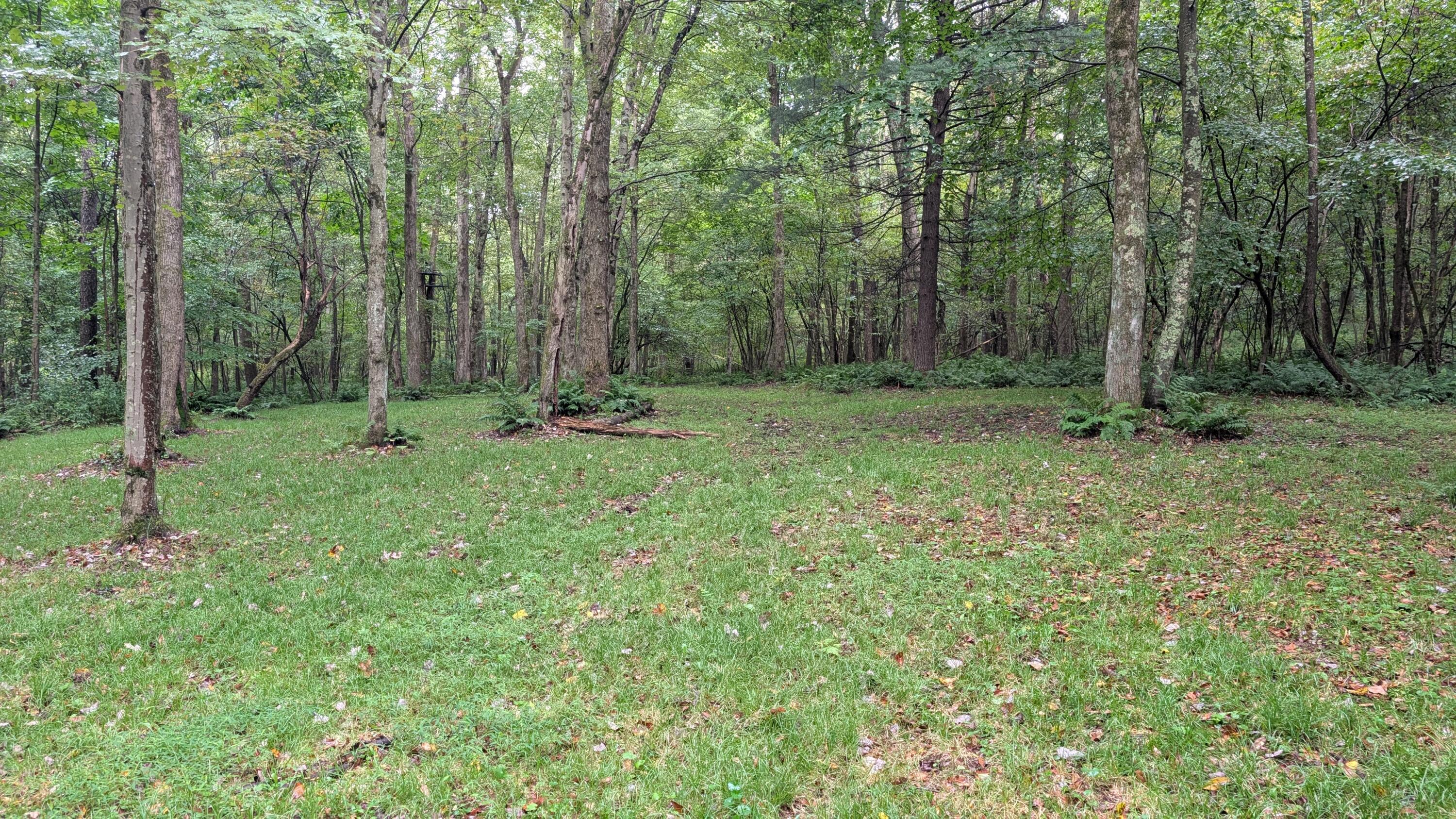 1451 RTE 210 HWY