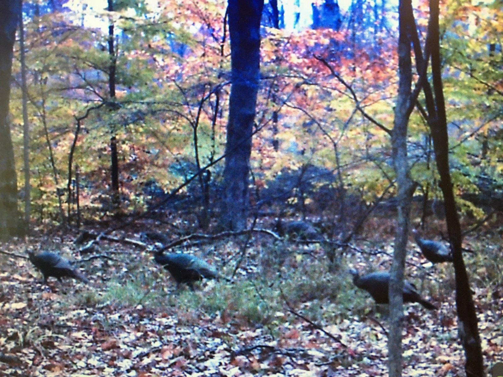 106 MIDDLE RIDGE RD