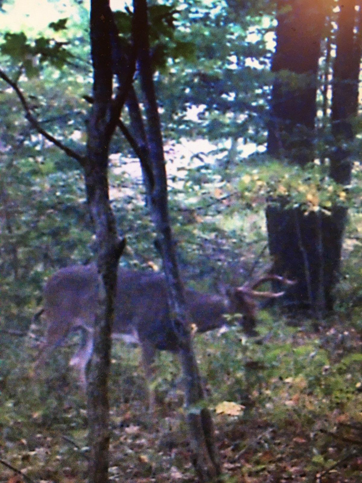 106 MIDDLE RIDGE RD
