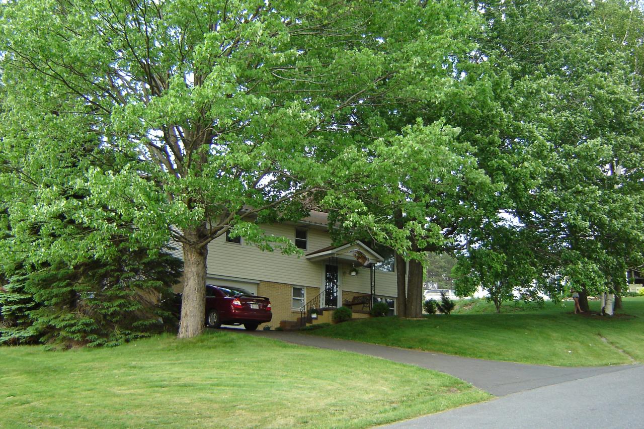 108 HOLLY DR