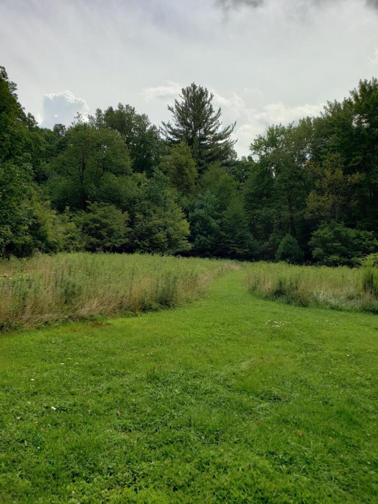 182 ALBERT RUN RD