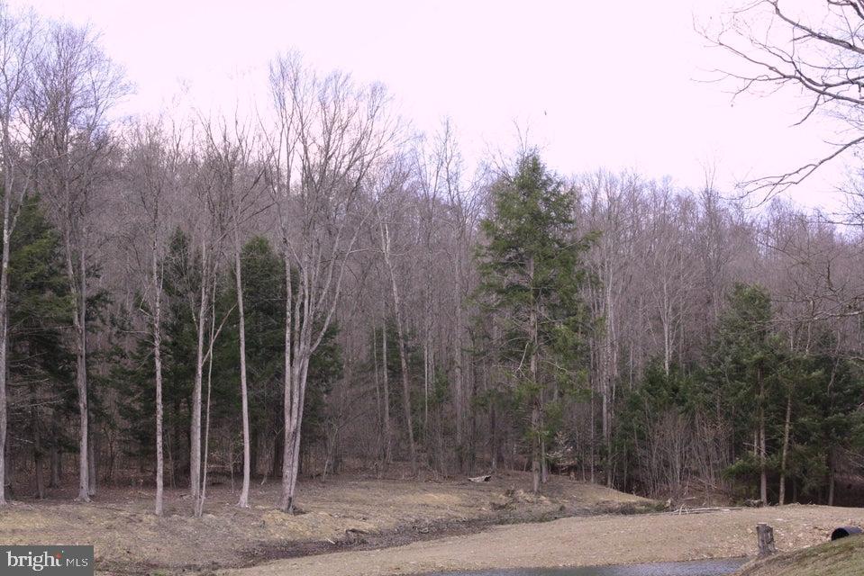 213 PAUL SHORT ROAD