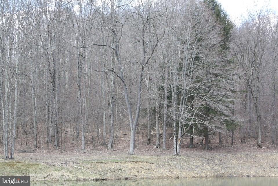 213 PAUL SHORT ROAD