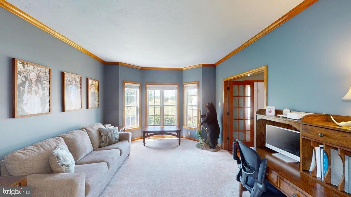 502 CAMERON CAMP ROAD