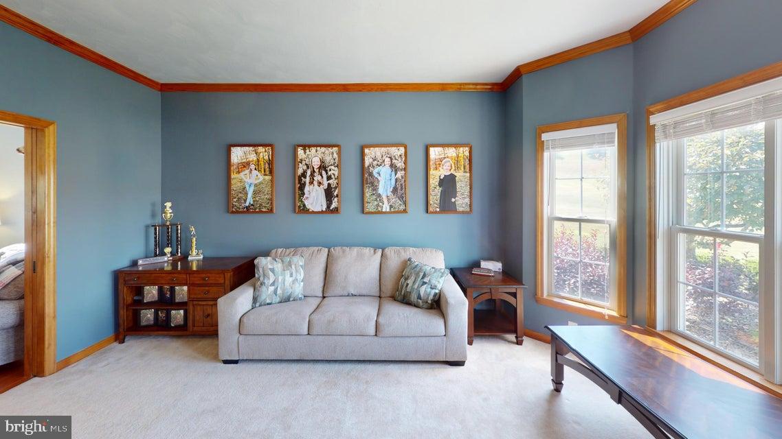 502 CAMERON CAMP ROAD