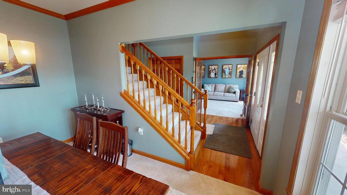 502 CAMERON CAMP ROAD