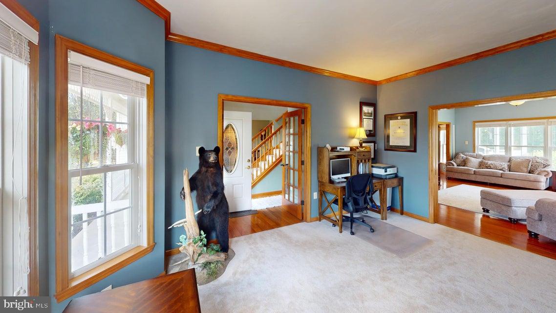 502 CAMERON CAMP ROAD