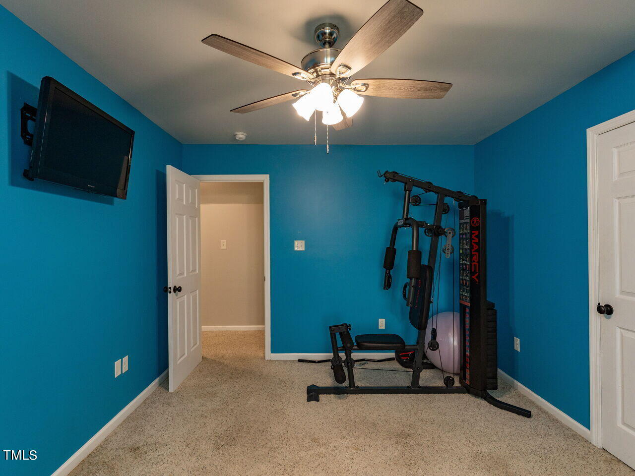 164 Rosepace Court
