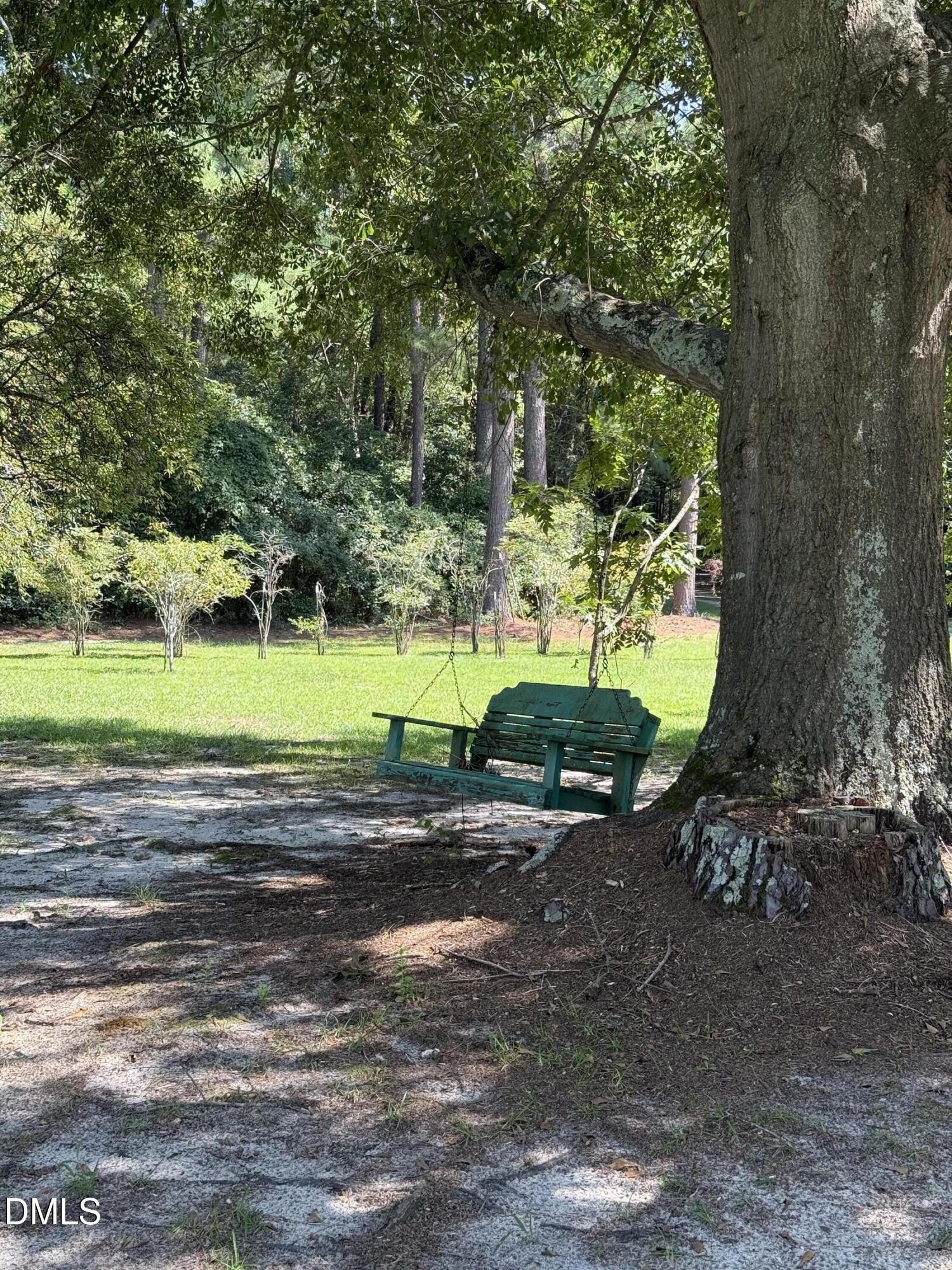 Green wooden swing beneath a large tree beside a sunny lawn and wooded yard.