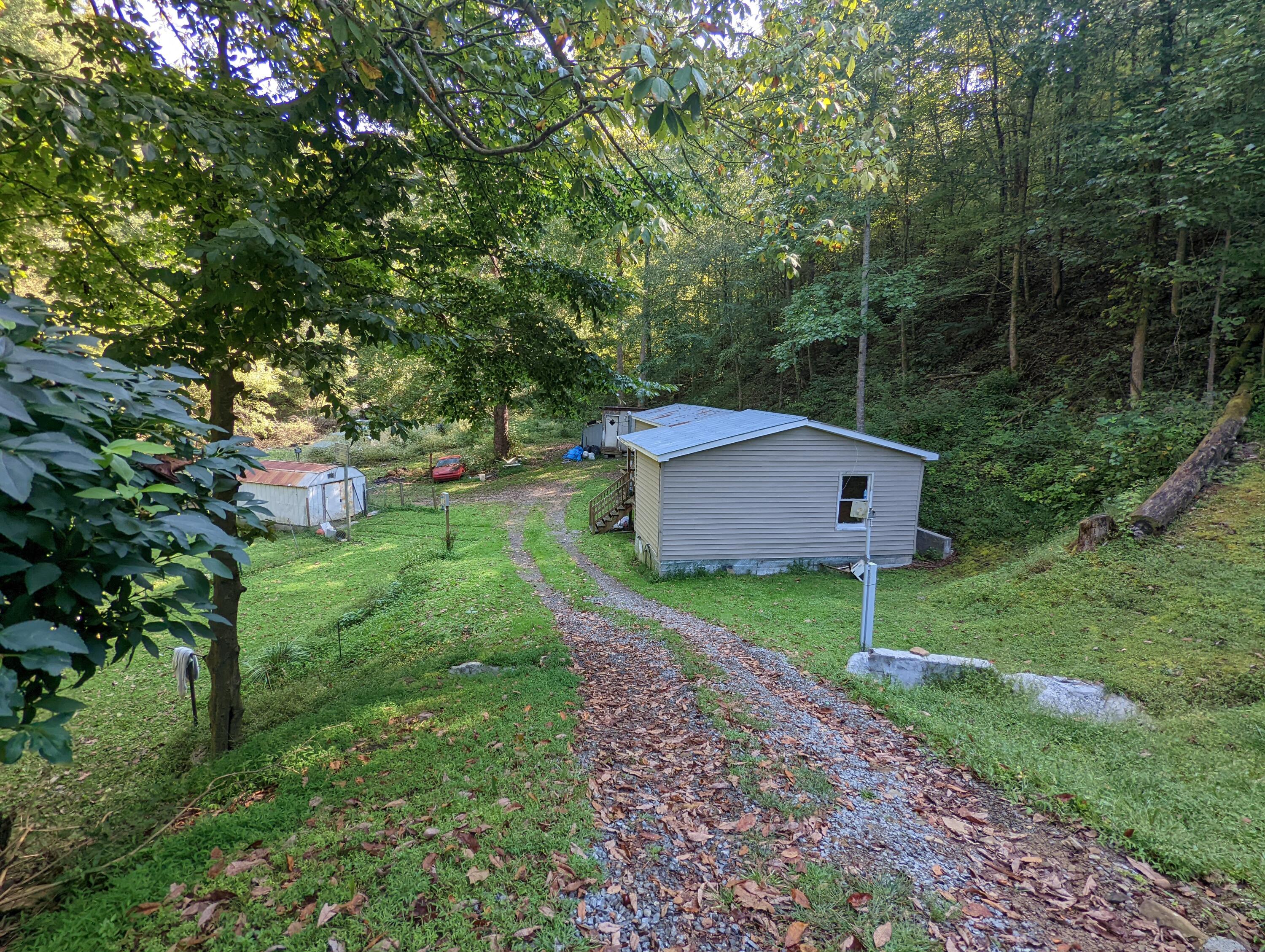 150 Tarzan Lane