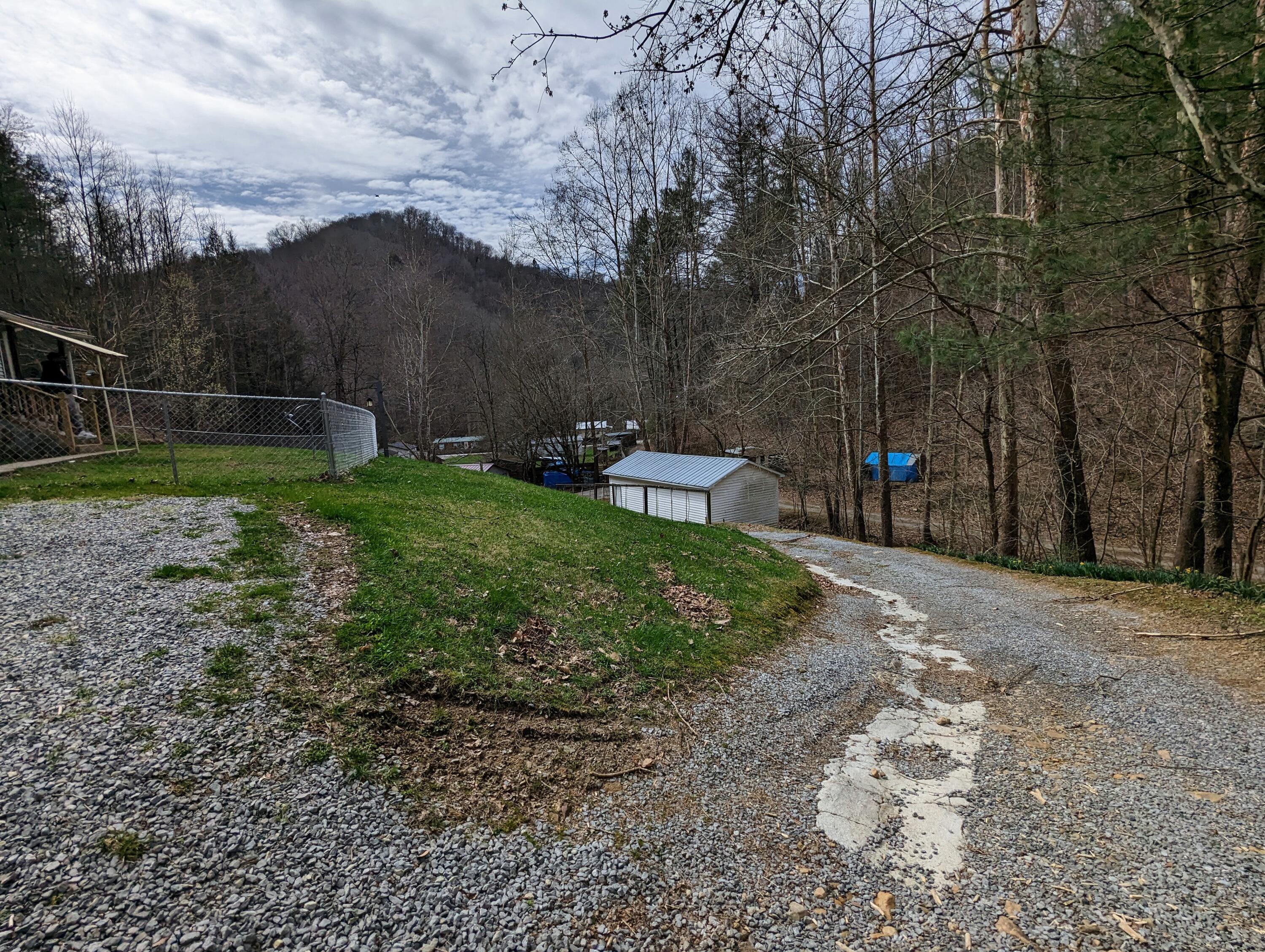 150 Tarzan Lane