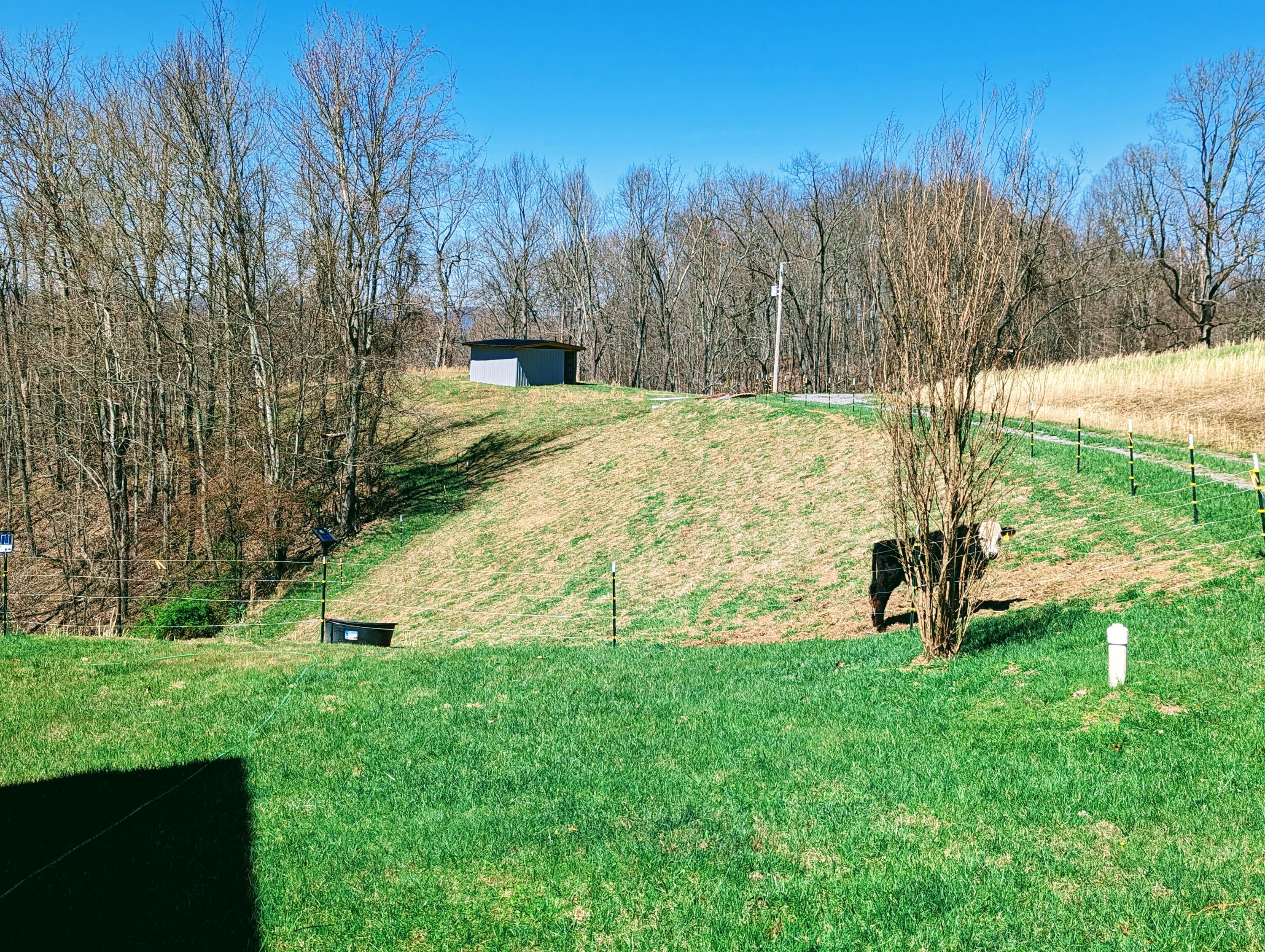 785 Crack Rock Road