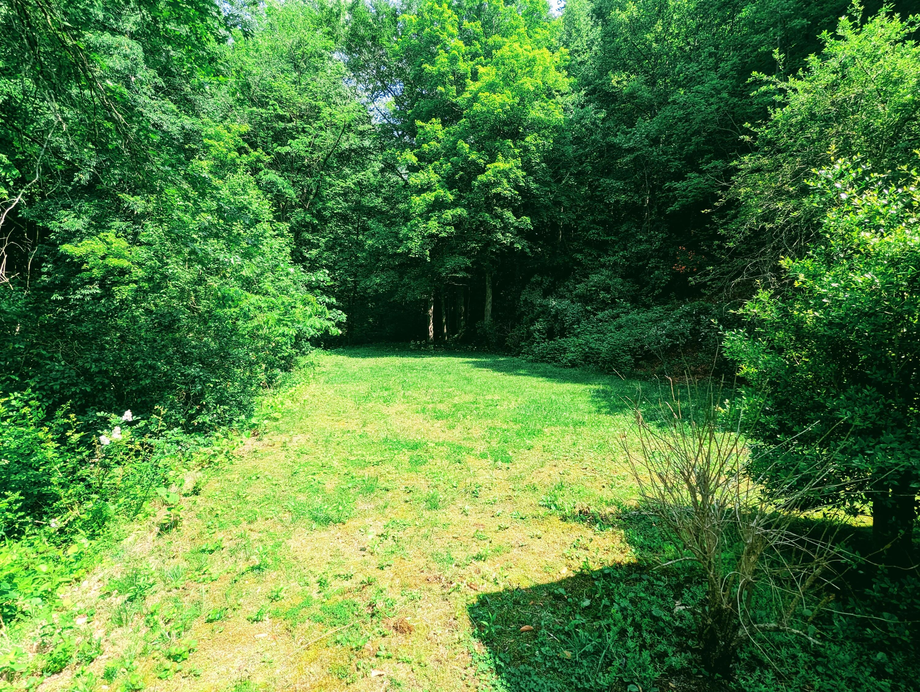 150 Lone Star Road