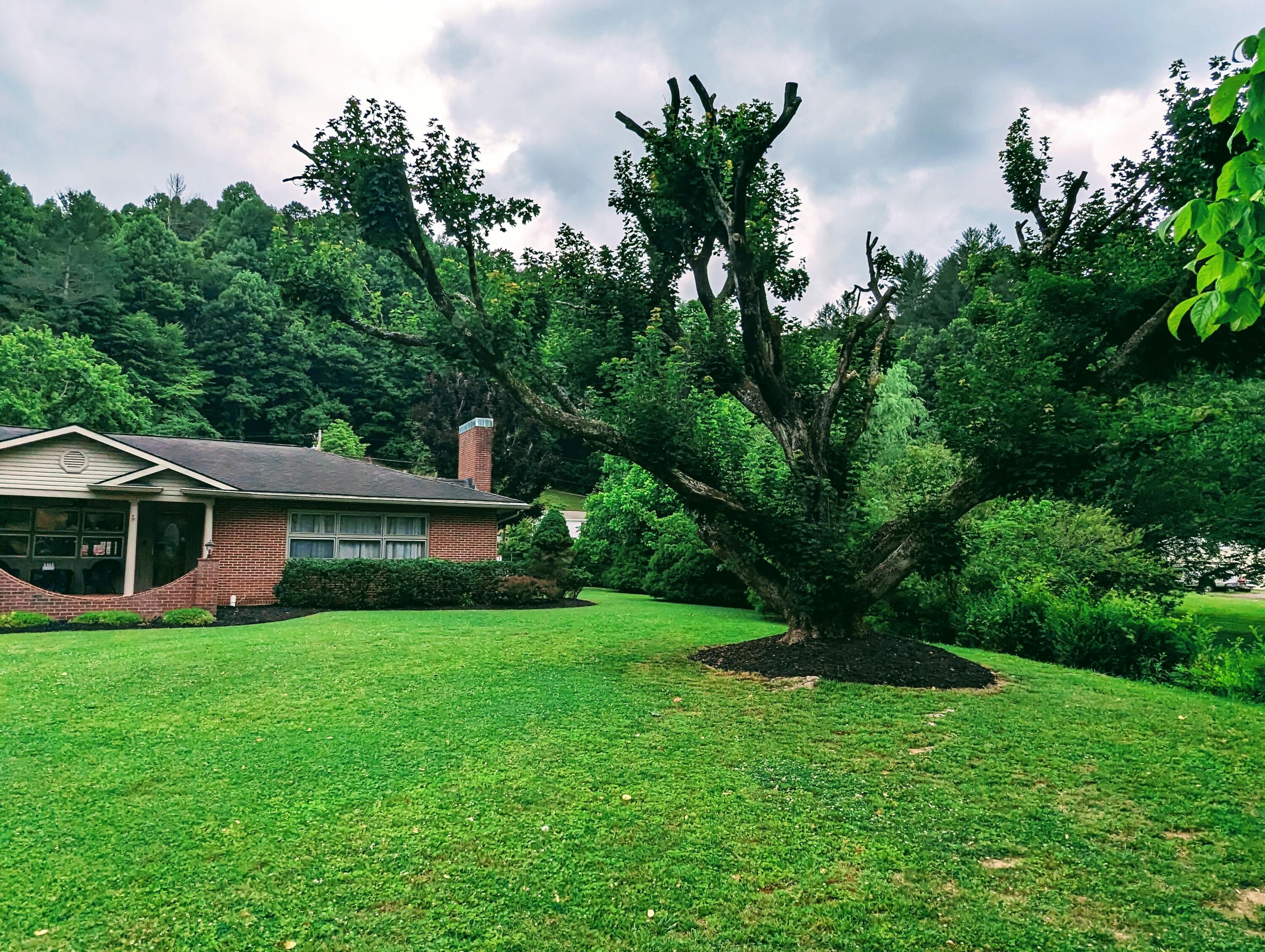 11223 Timbergrove Circle