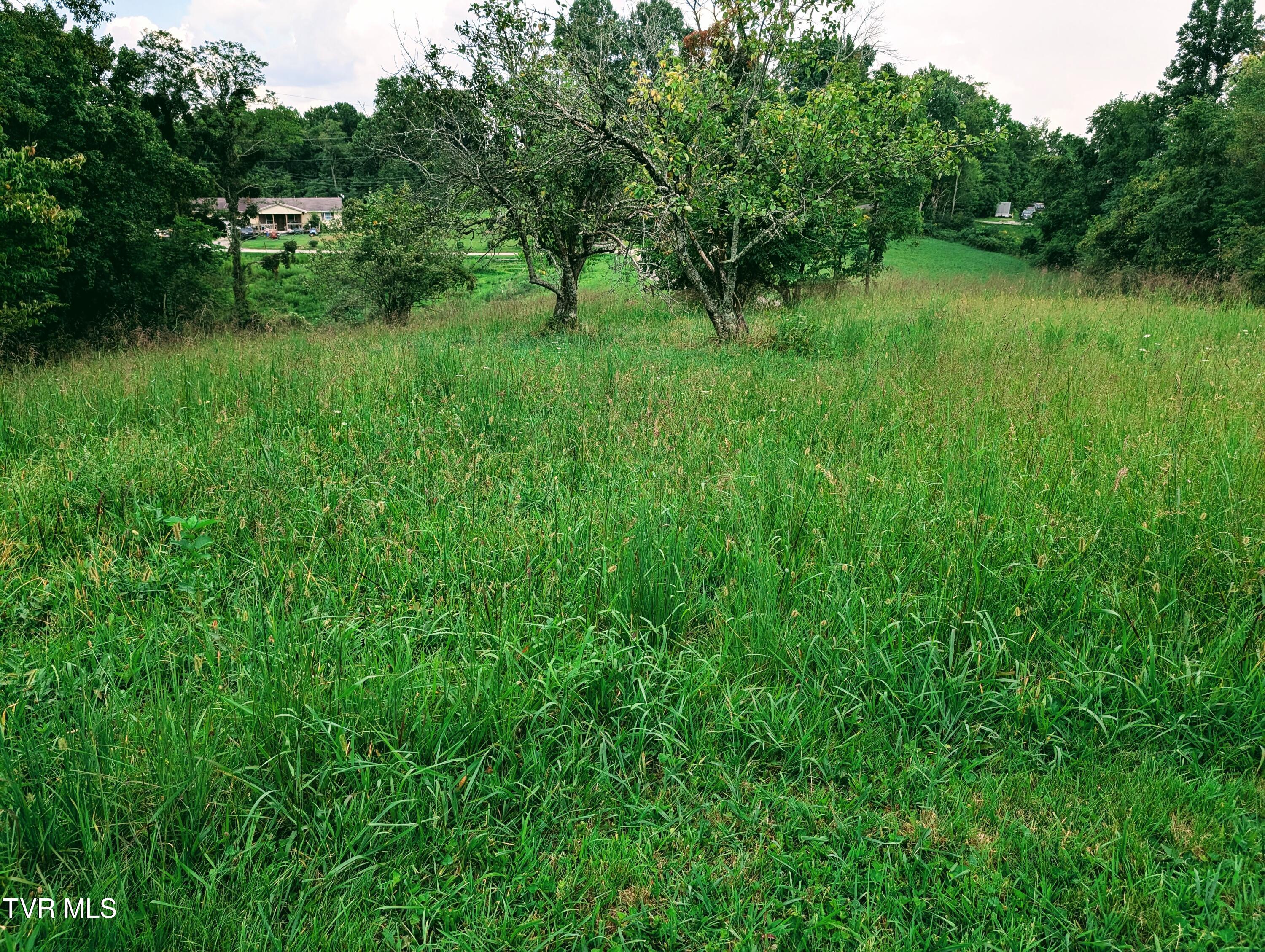 1058 Nealy Ridge