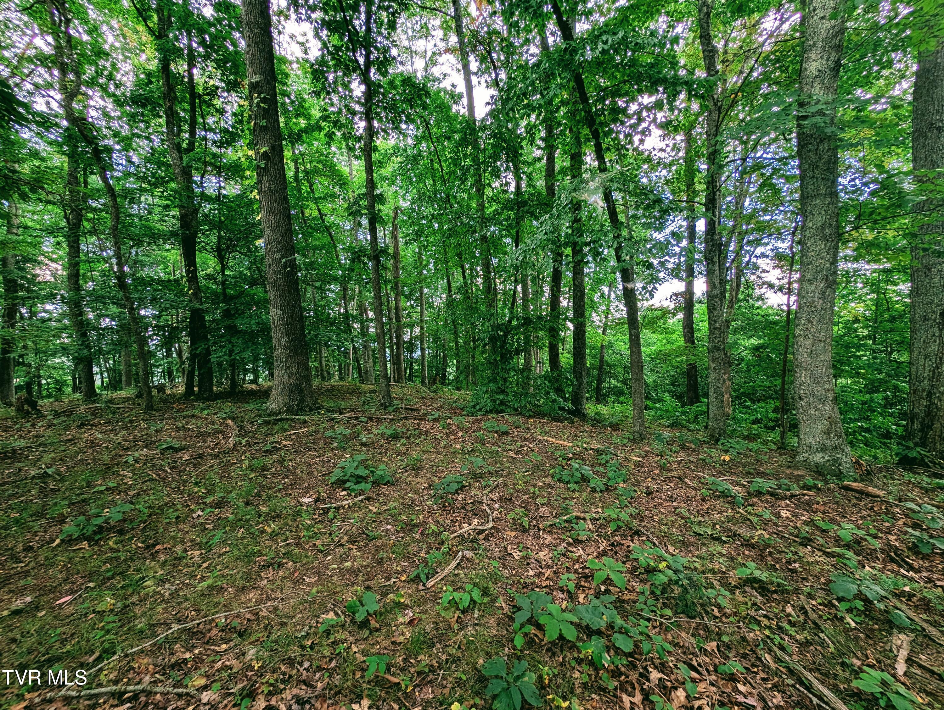 1058 Nealy Ridge