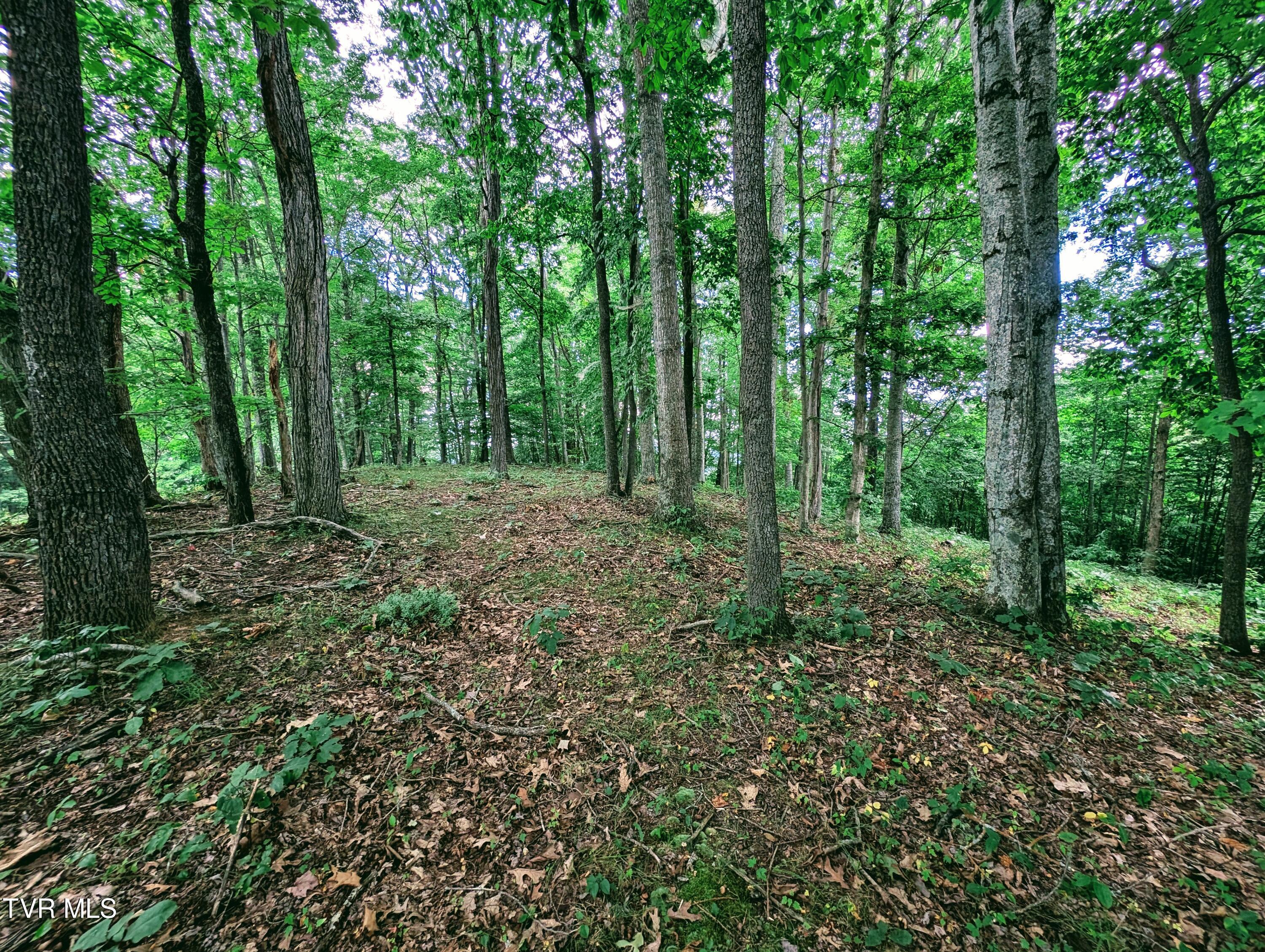 1058 Nealy Ridge