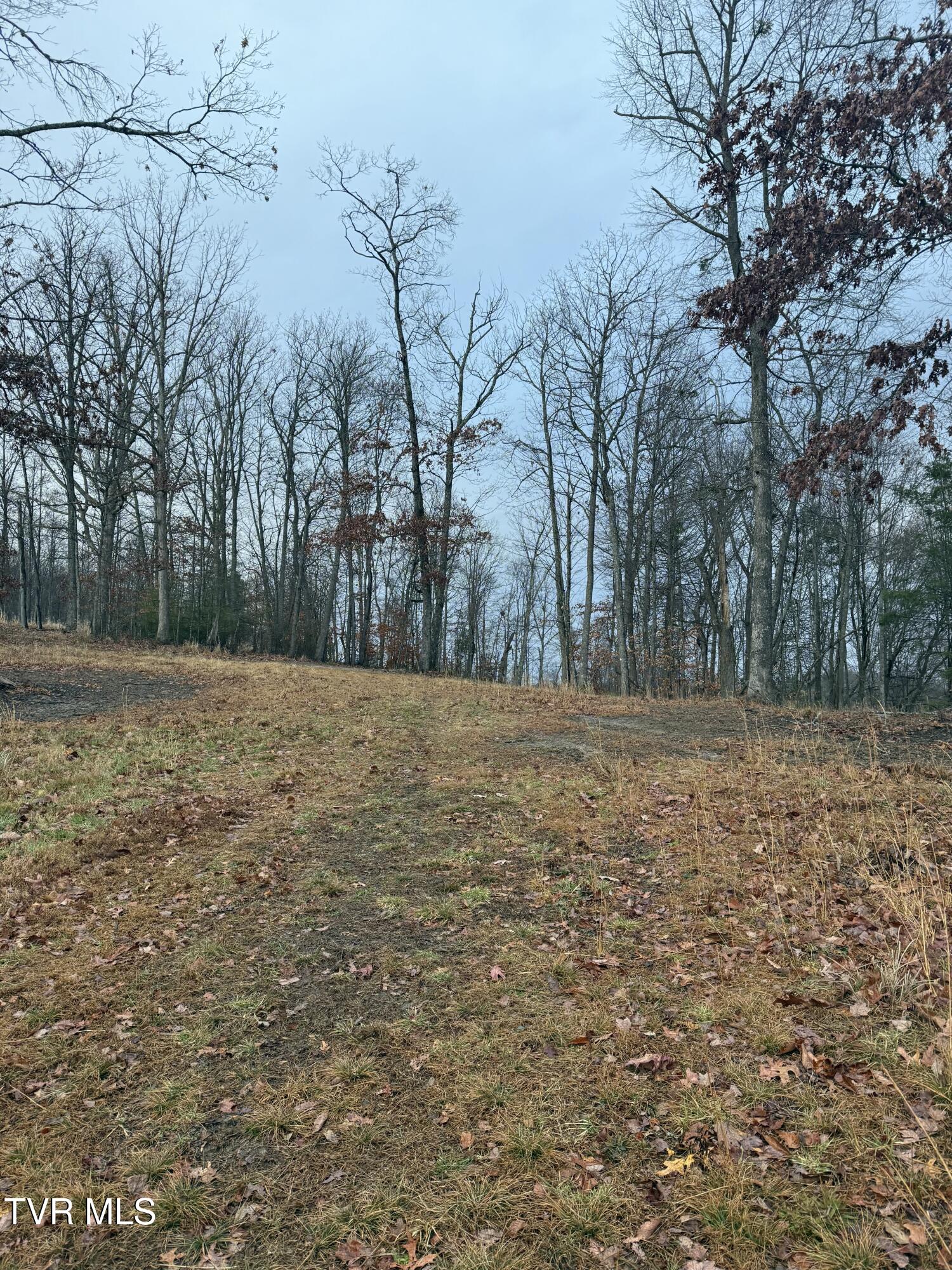 3640 Dc Caney Ridge Road