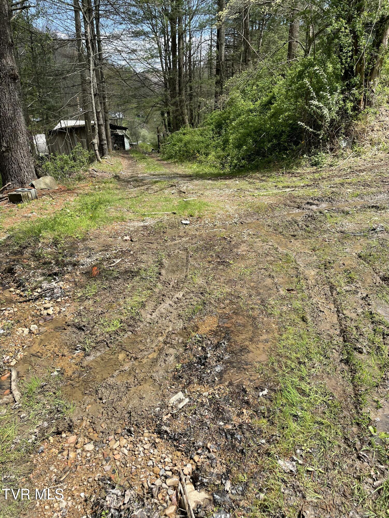 Tbd Crabtree Hollow