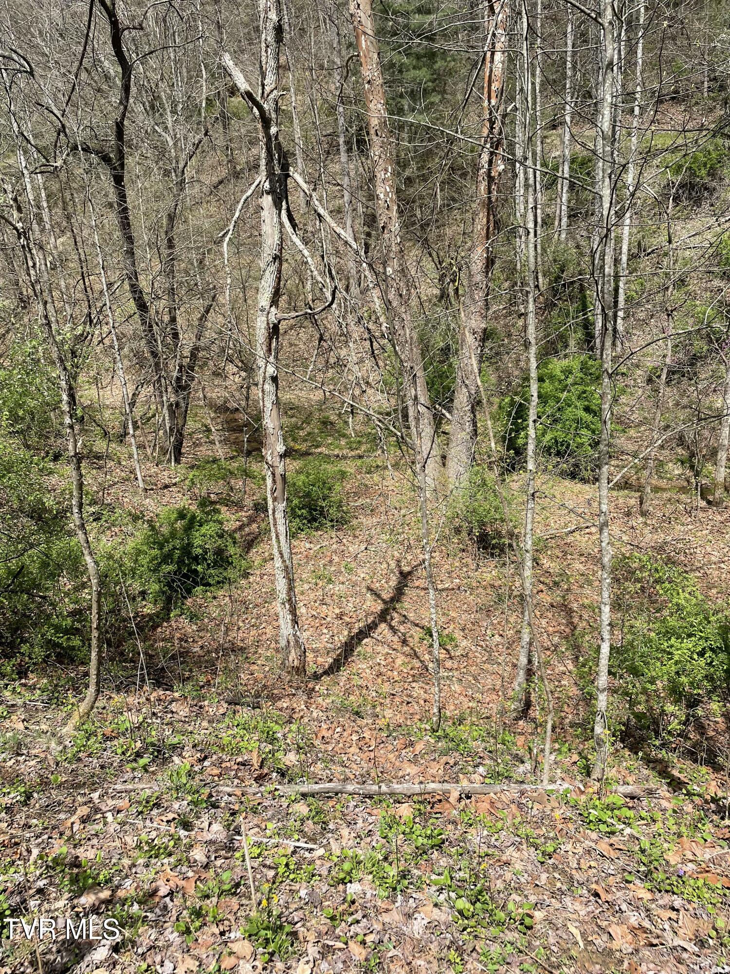 Tbd Crabtree Hollow