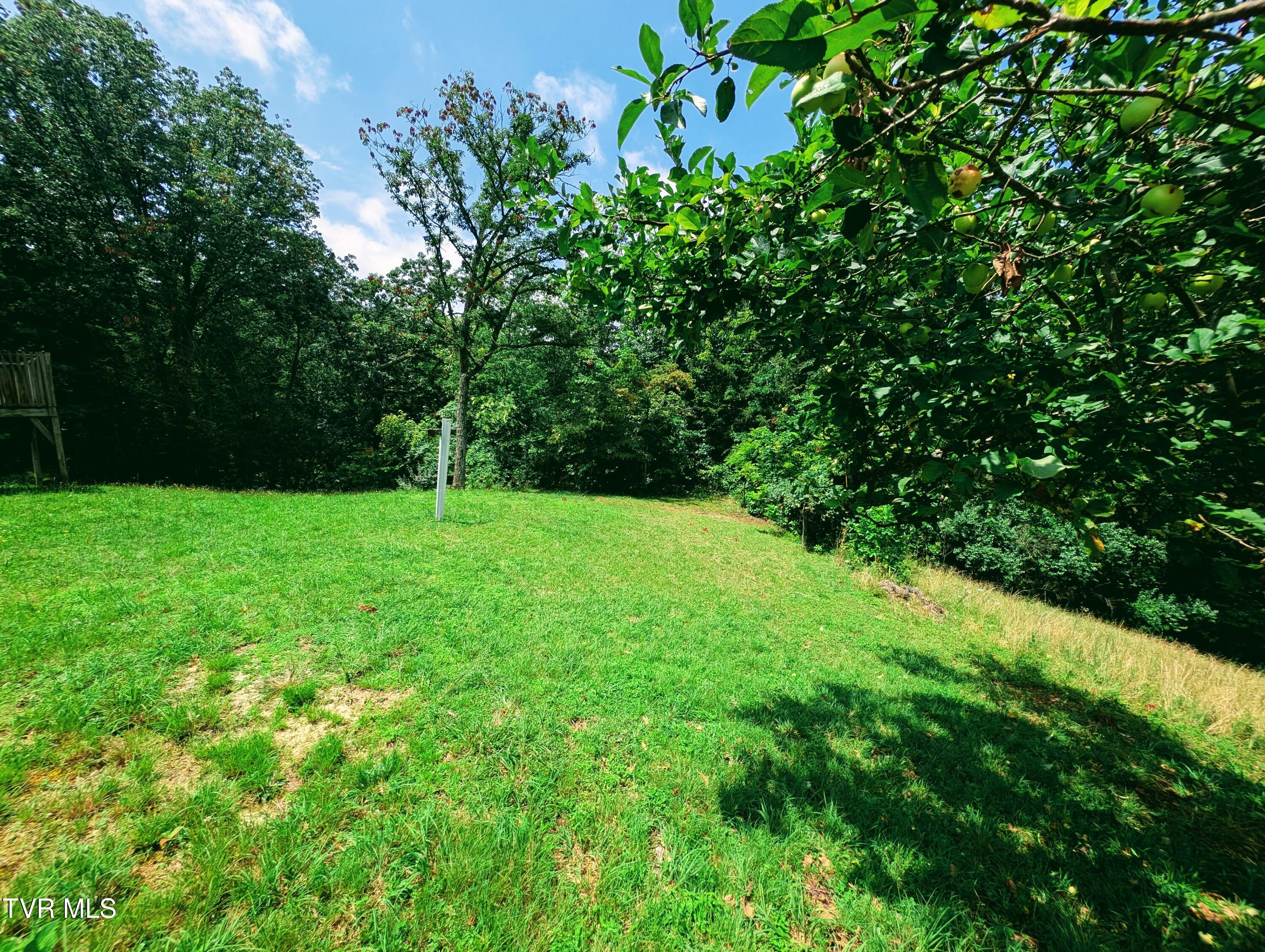 4398 Brushy Ridge Road