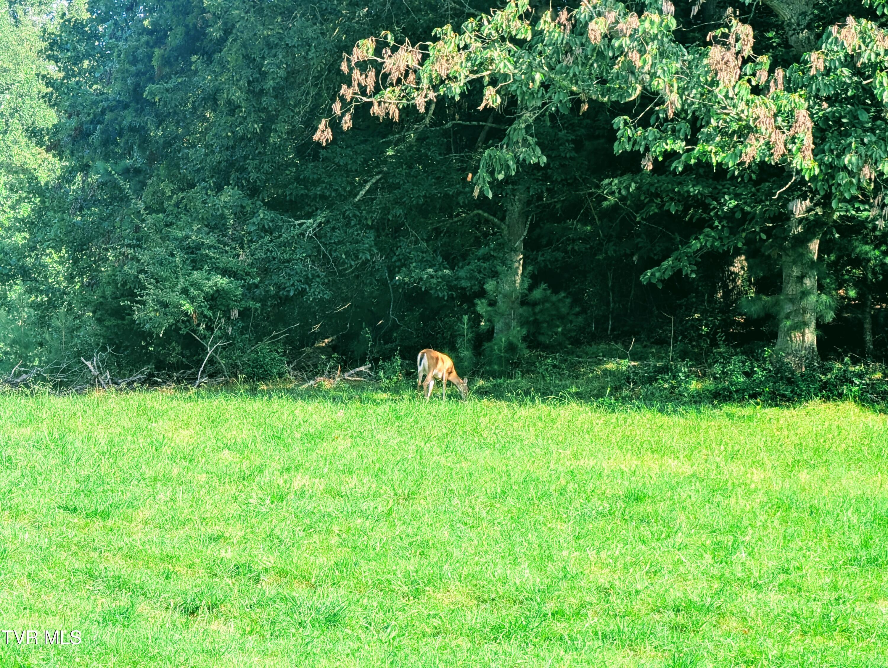 Tbd Old Vanover Farm Road