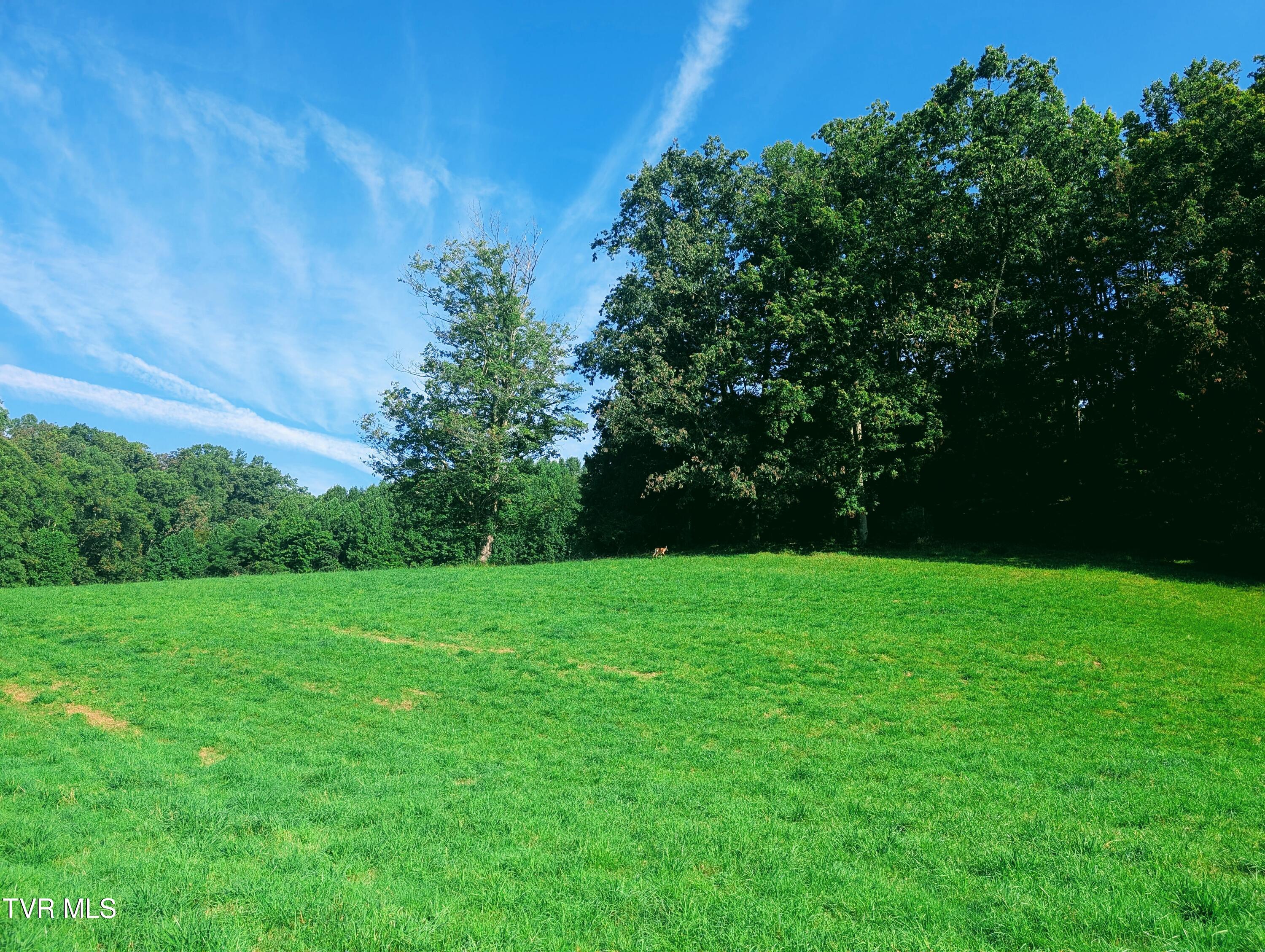 Tbd Old Vanover Farm Road