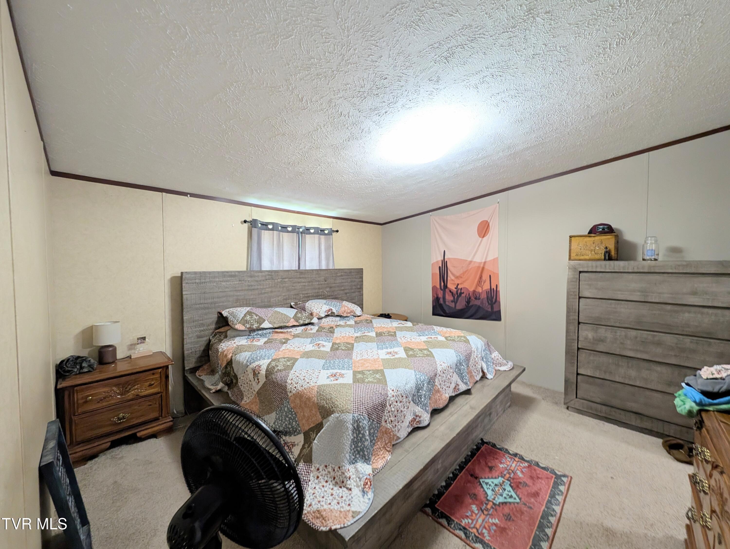 585 Little Brushy Road