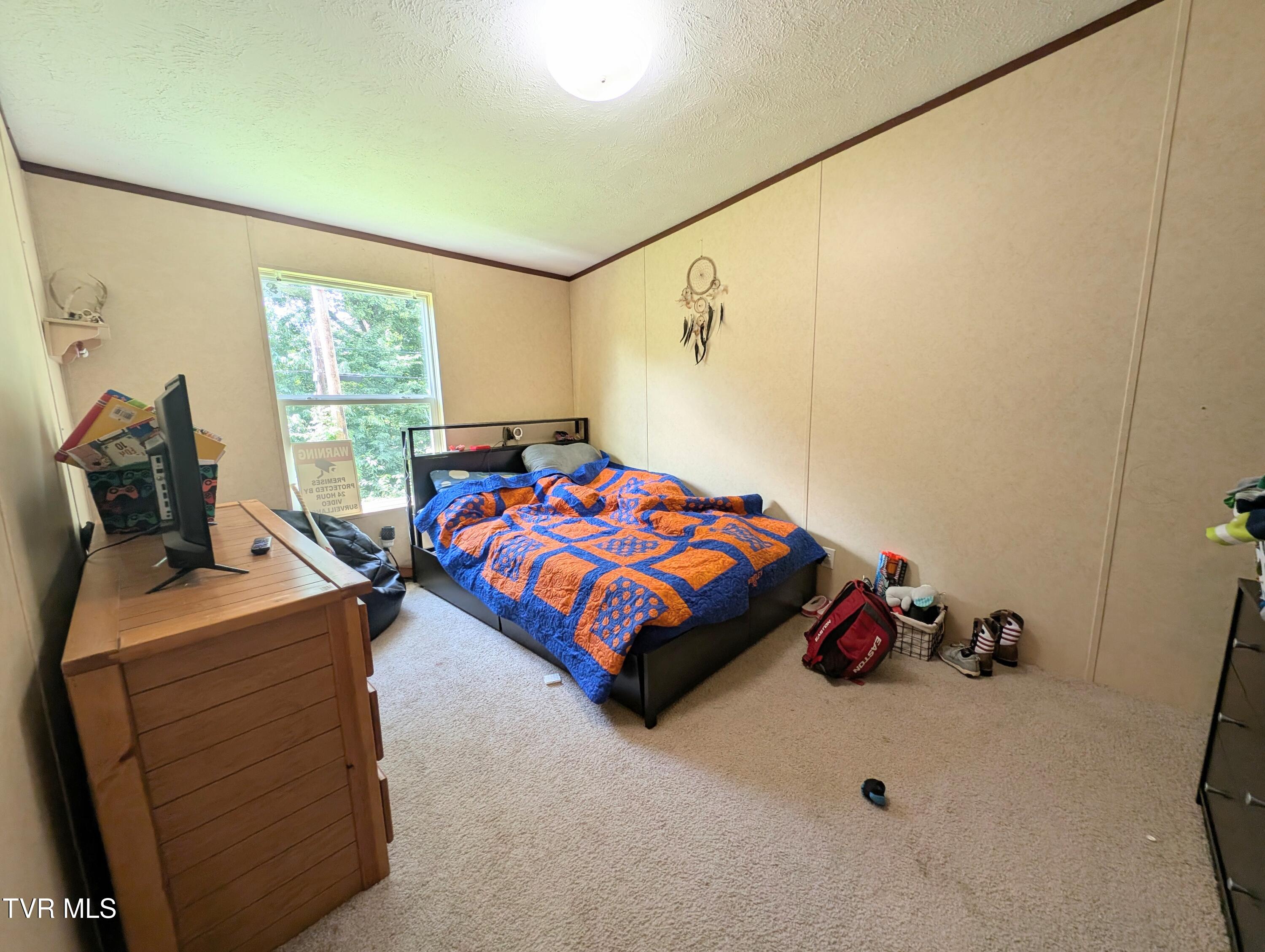 585 Little Brushy Road