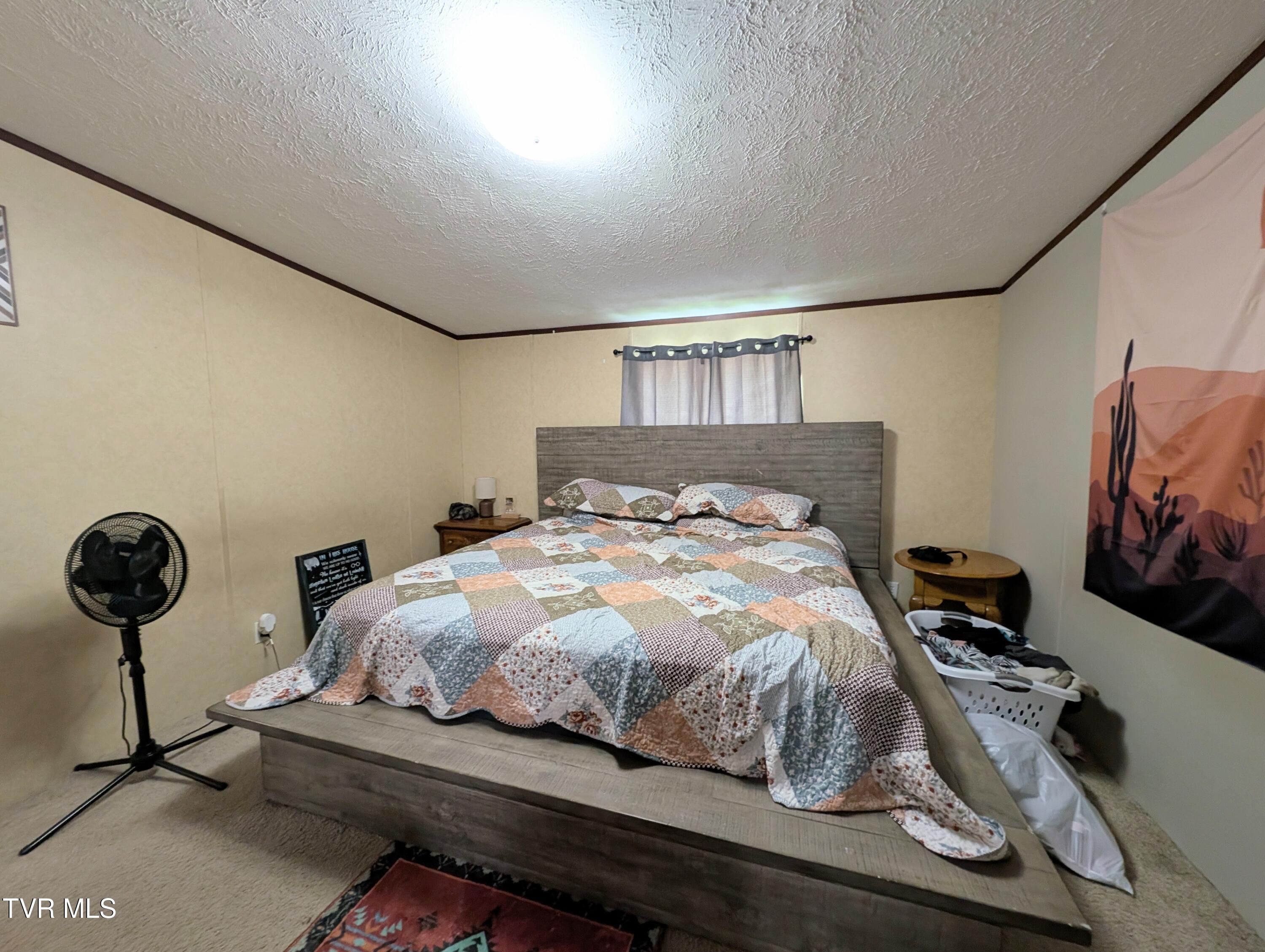 585 Little Brushy Road