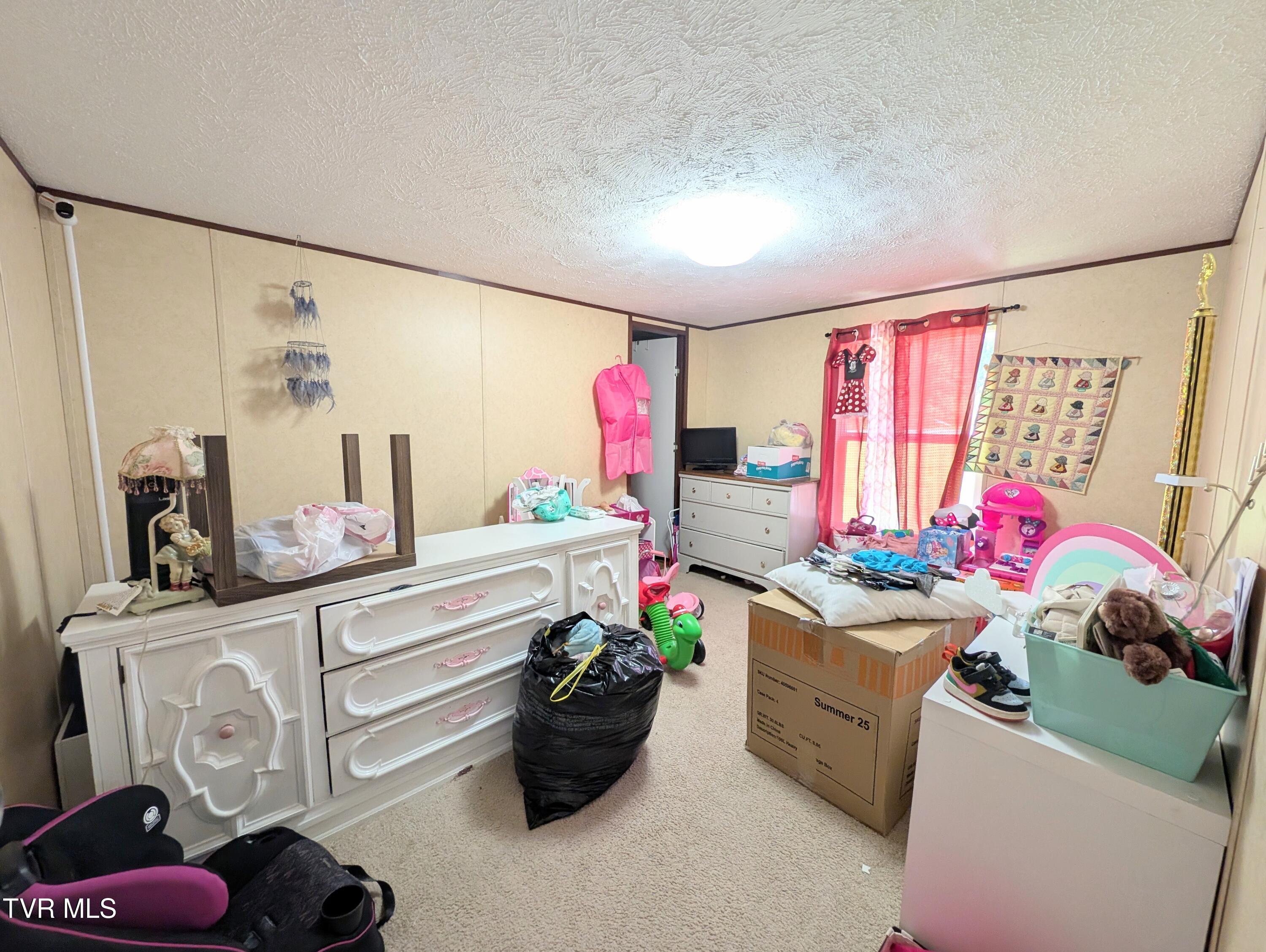 585 Little Brushy Road