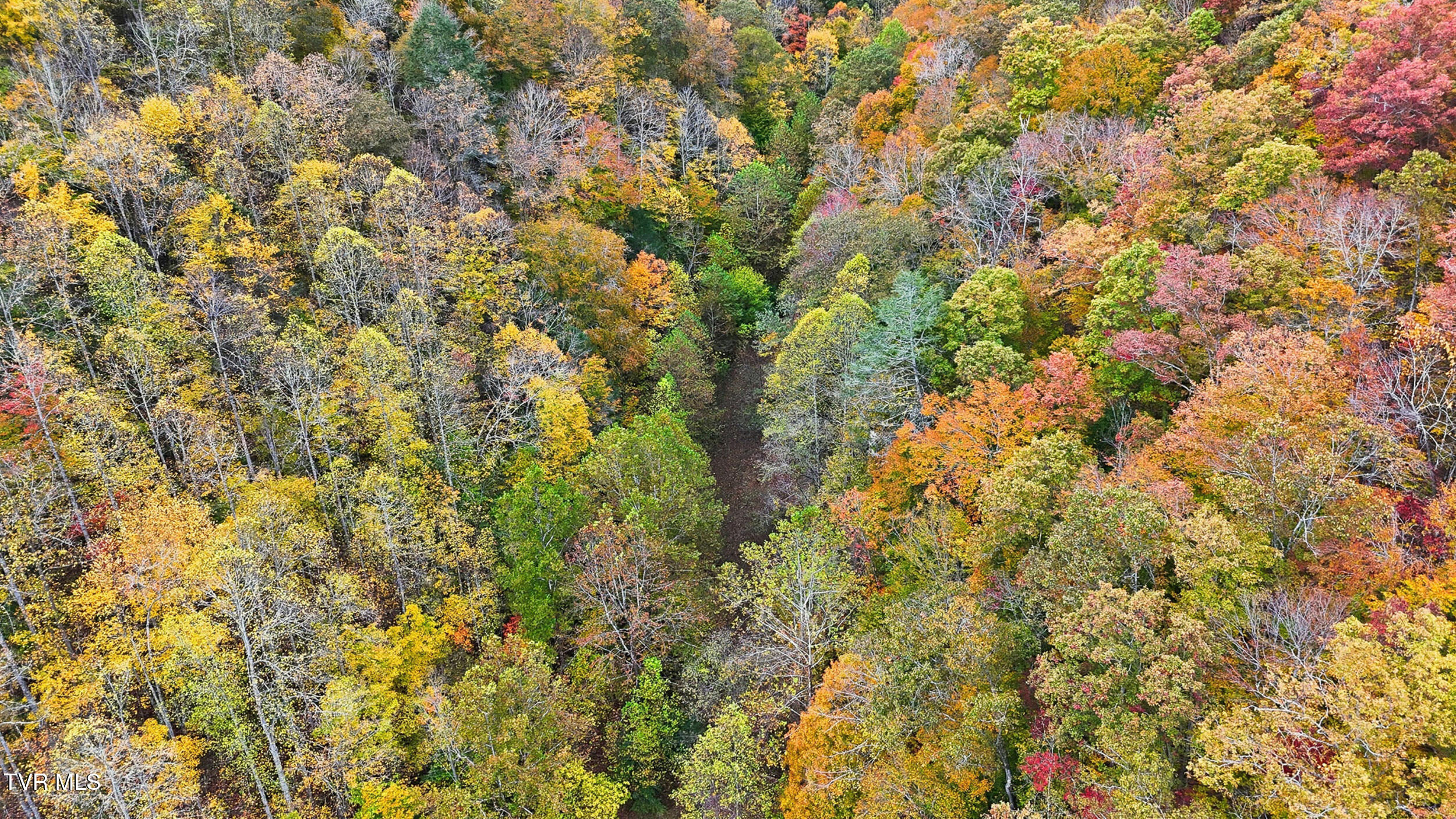 5186 Lick Creek Road