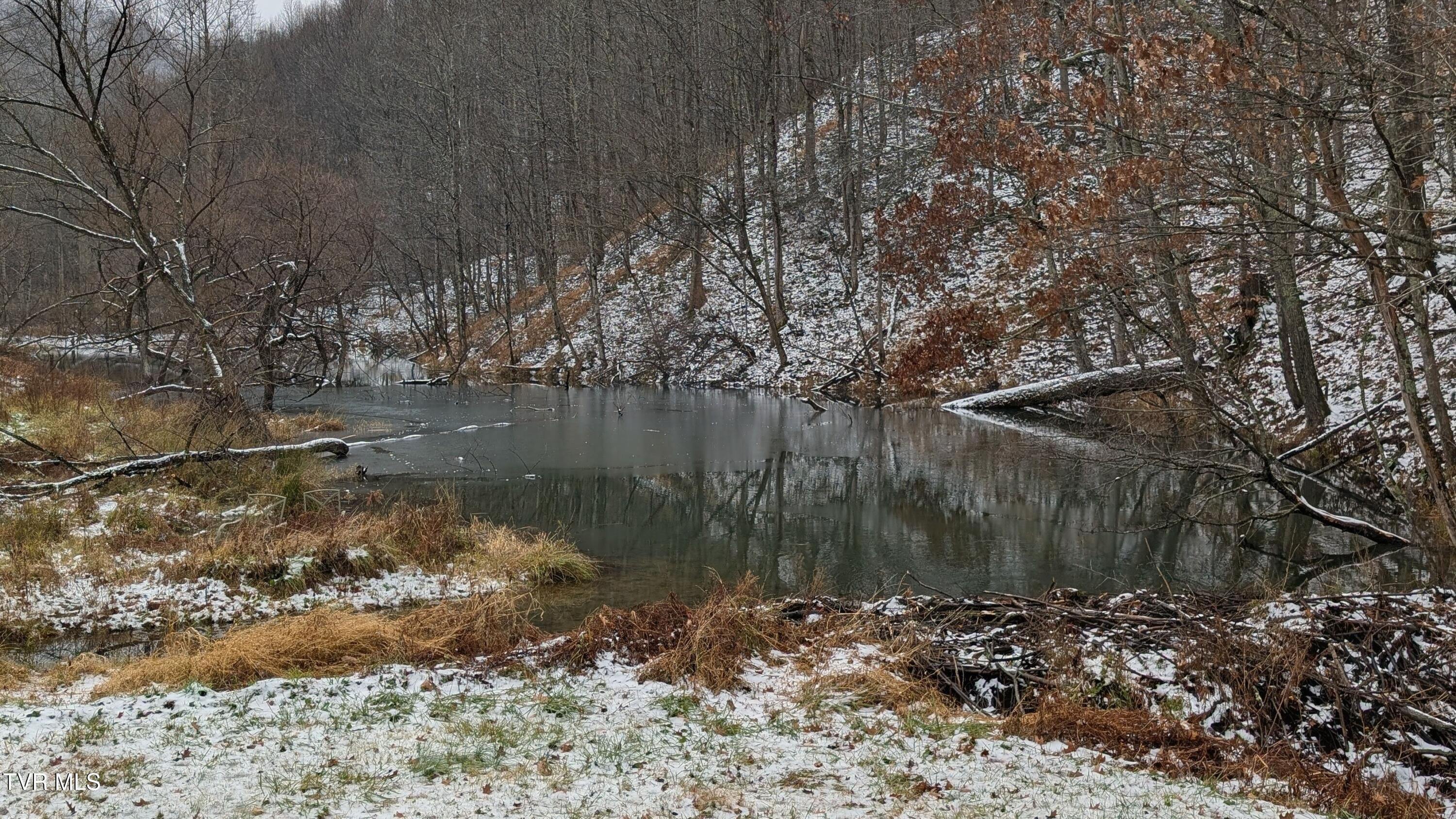 7737 Birchfield Road