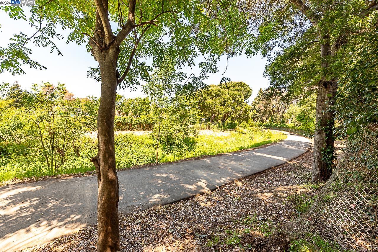 2406 Bing Pl