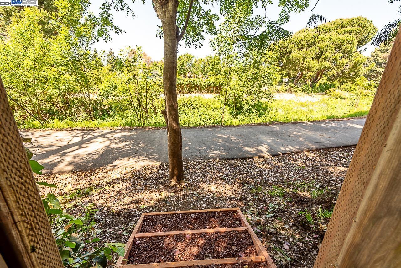 2406 Bing Pl