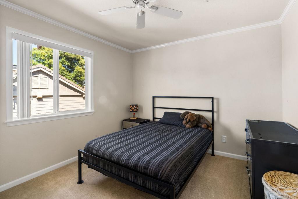 5569 Arlene WAY