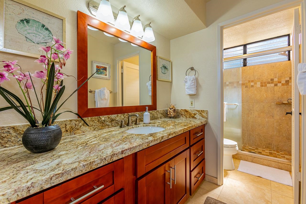 155 WAILEA IKE Pl Unit: 67