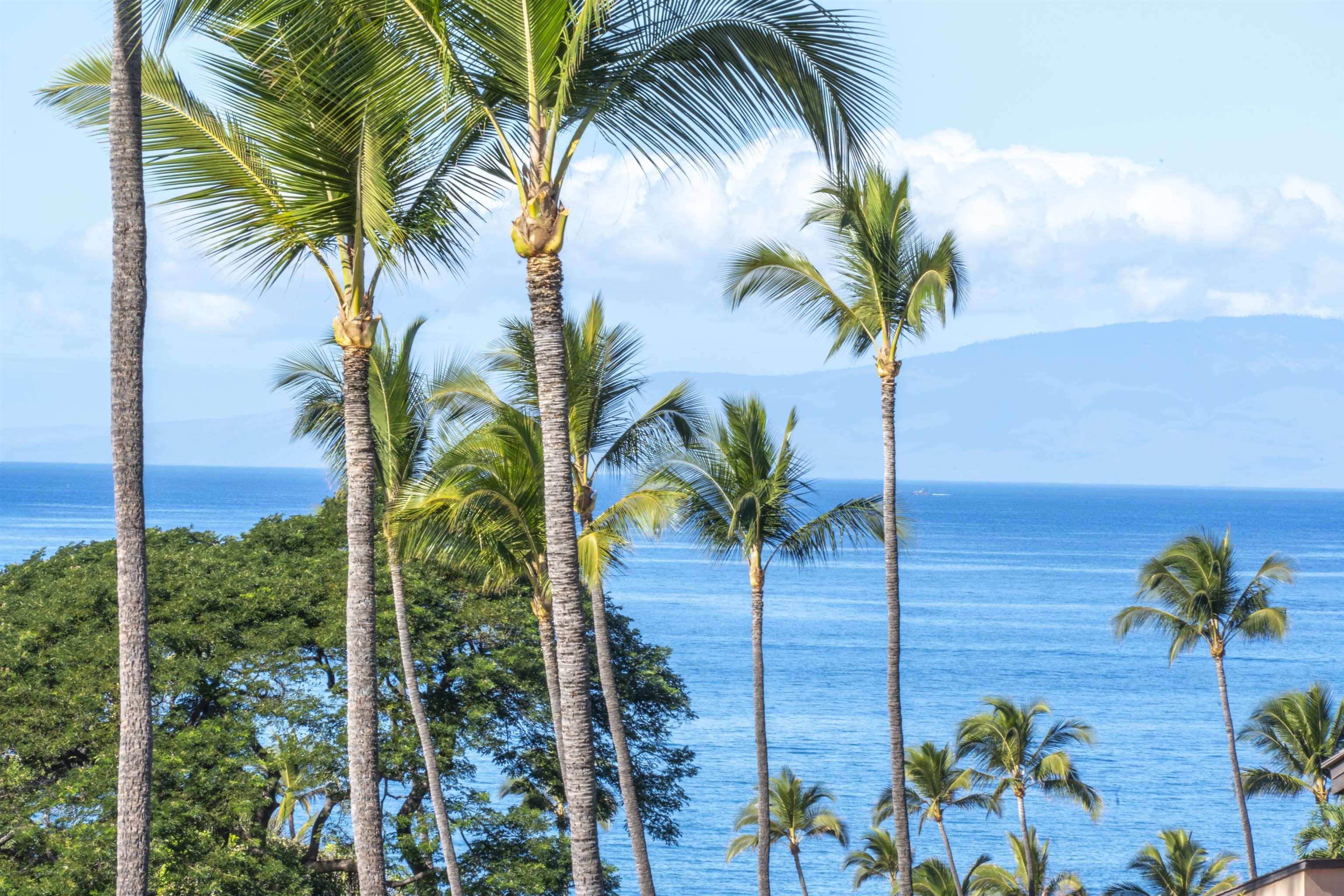 3300 Wailea Alanui Dr Unit: 13D