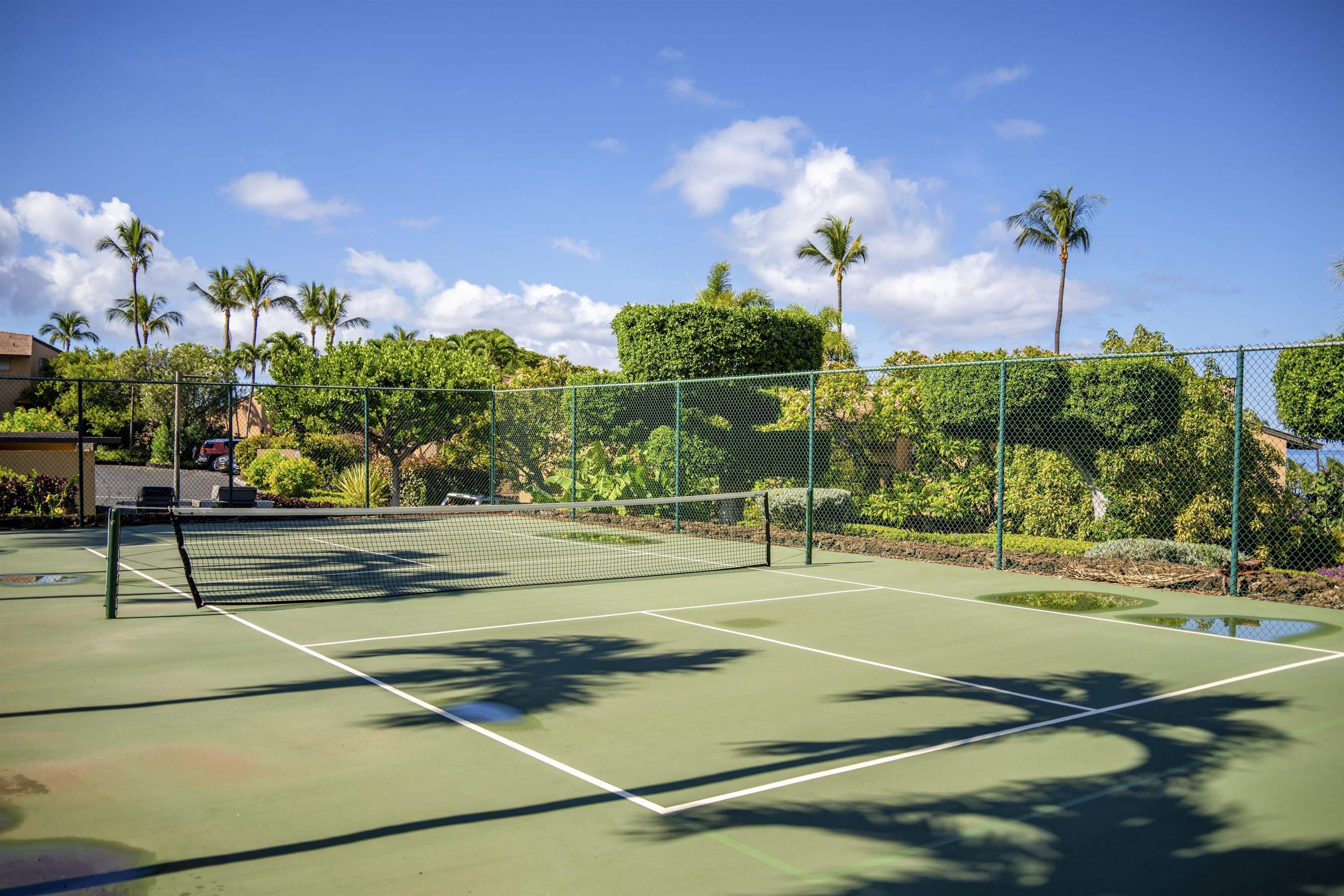3300 Wailea Alanui Dr Unit: 13D