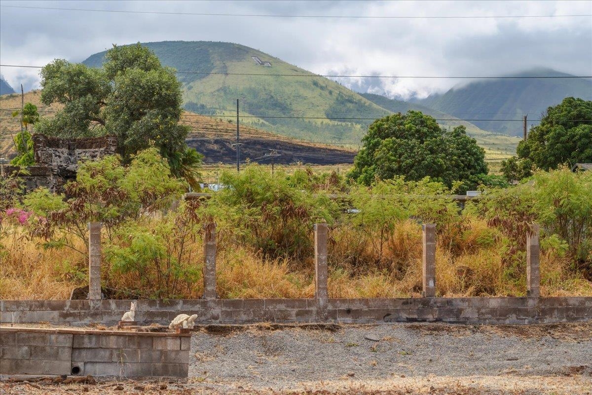 1618 Kuuipo St