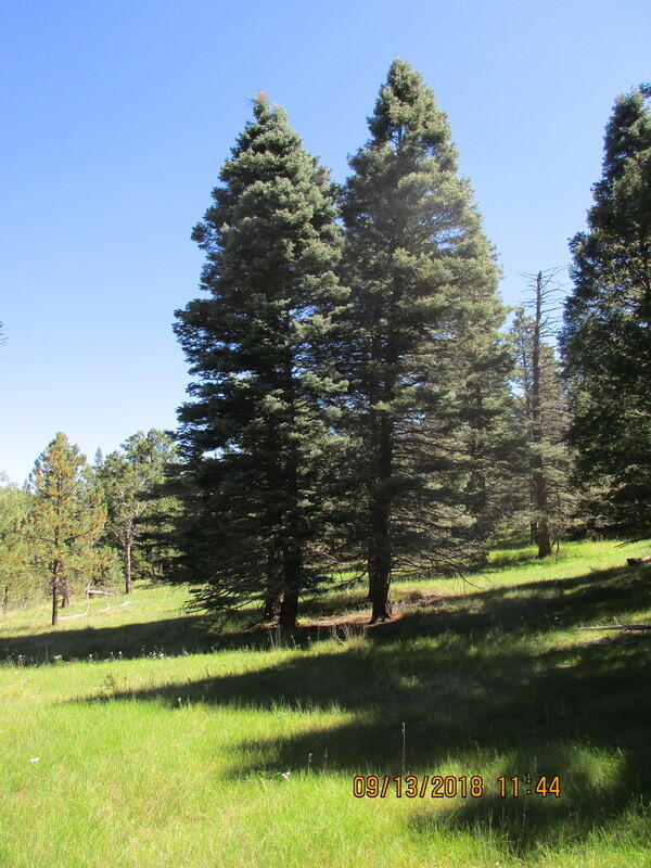 TBD County Road 42 Unit: 20
