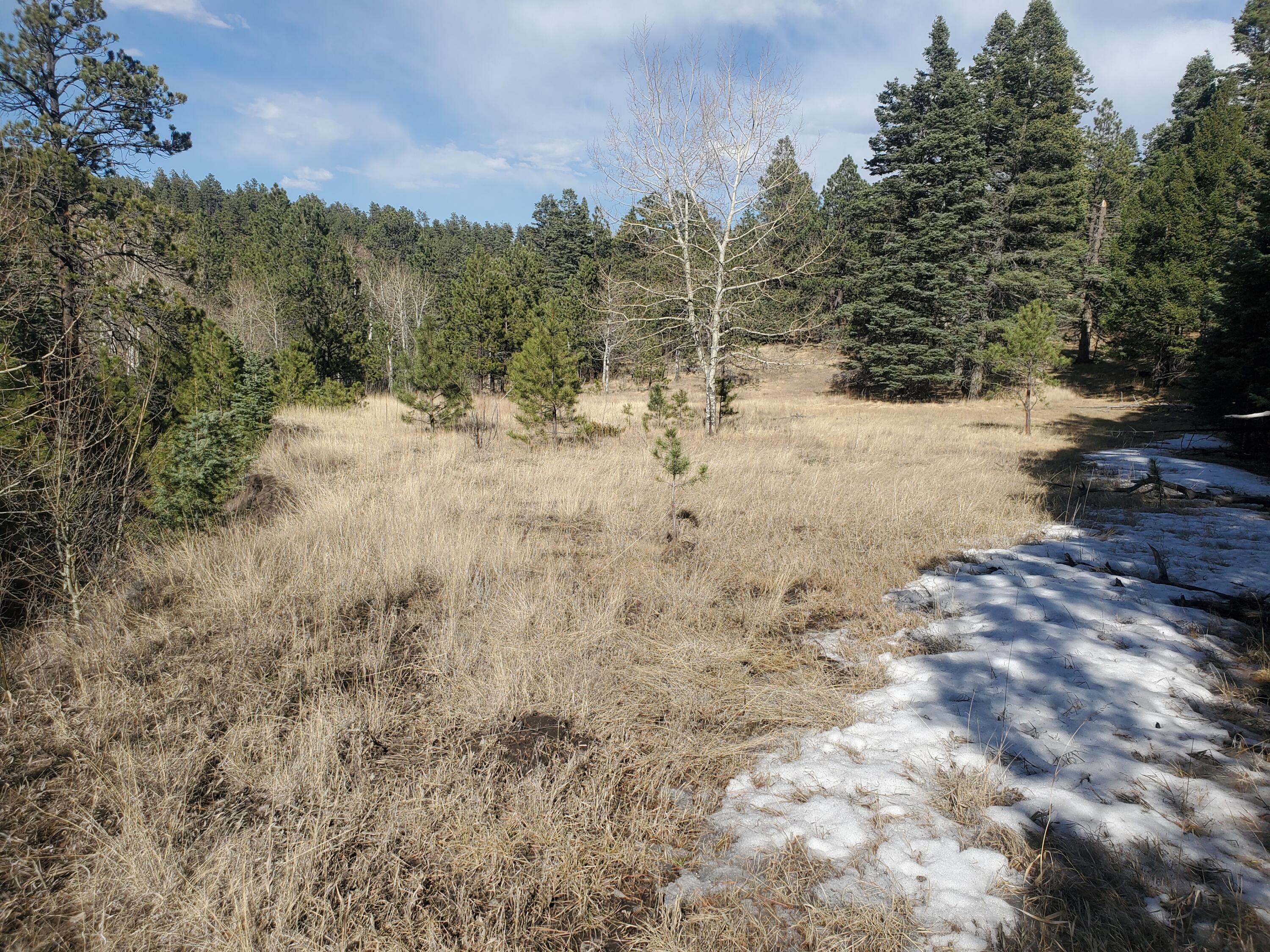 TBD County Road 42 Unit: 20