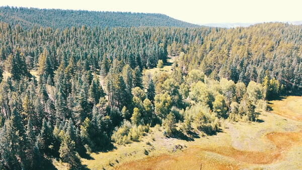TBD County Road 42 Unit: 20