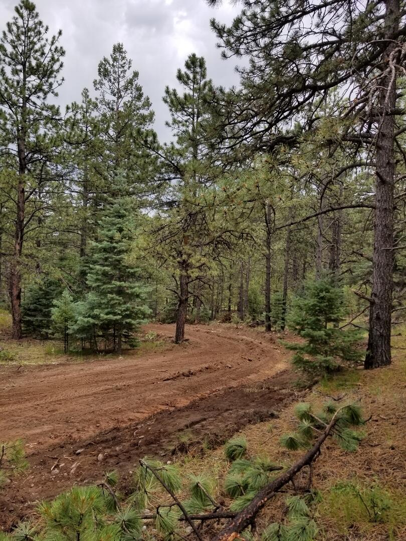TBD County Road 42 Unit: 20