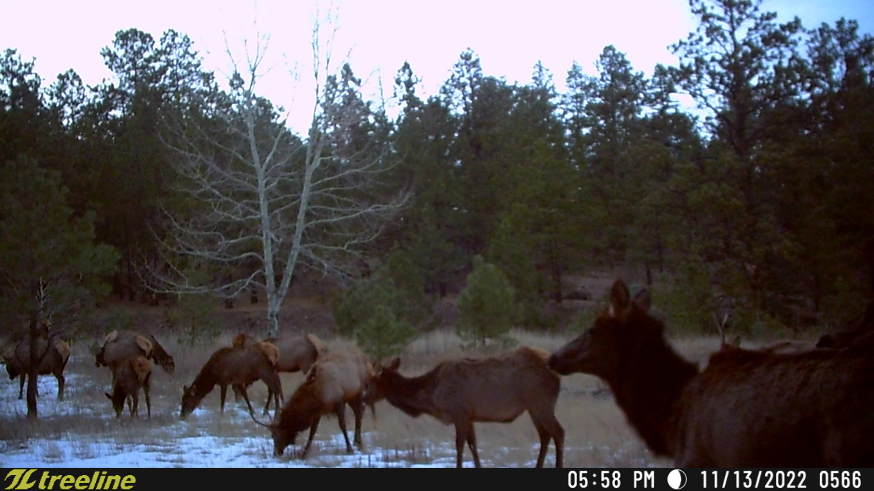 TBD County Road 42 Unit: 20