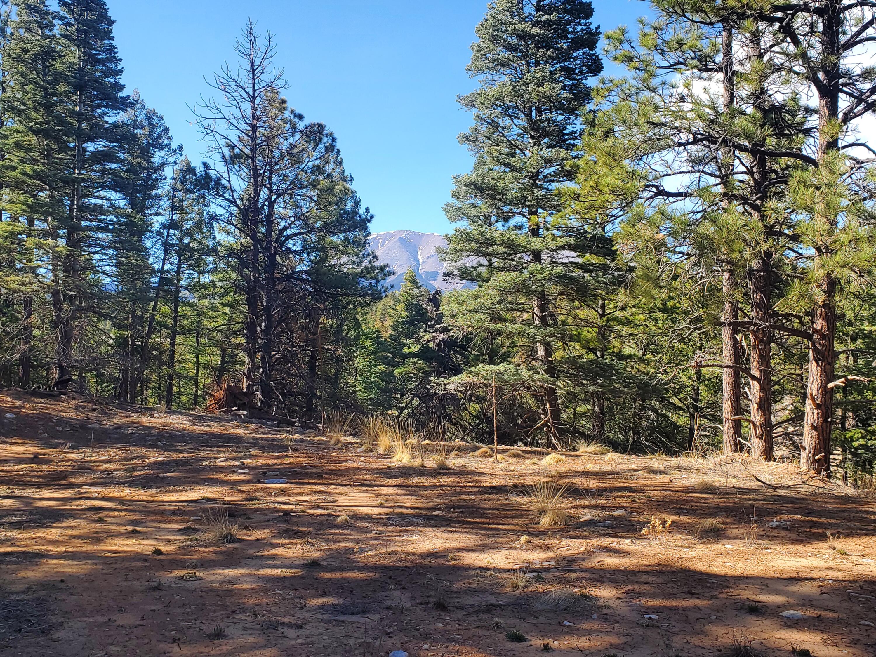 TBD County Road 42 Unit: 20