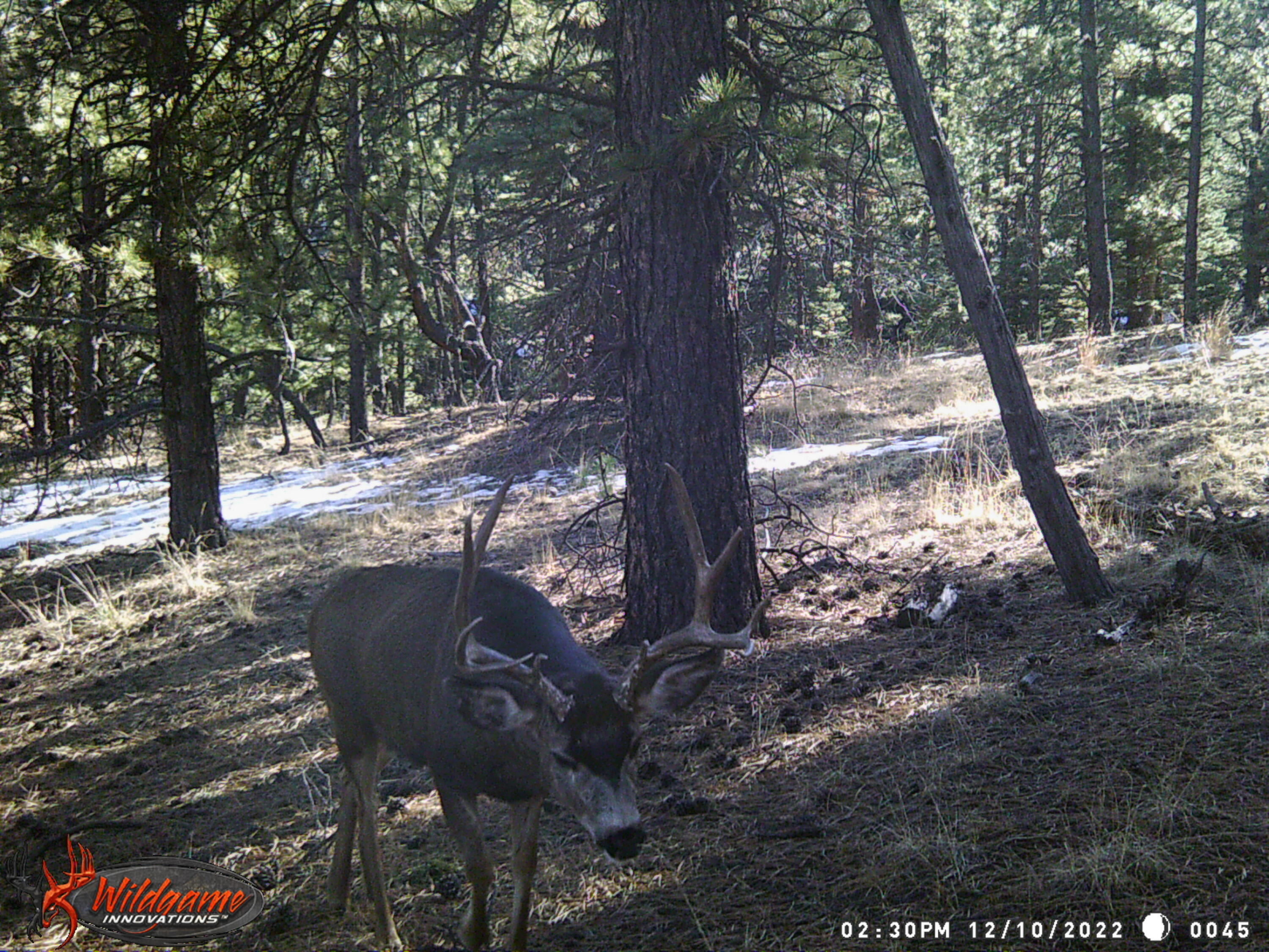 TBD County Road 42 Unit: 20