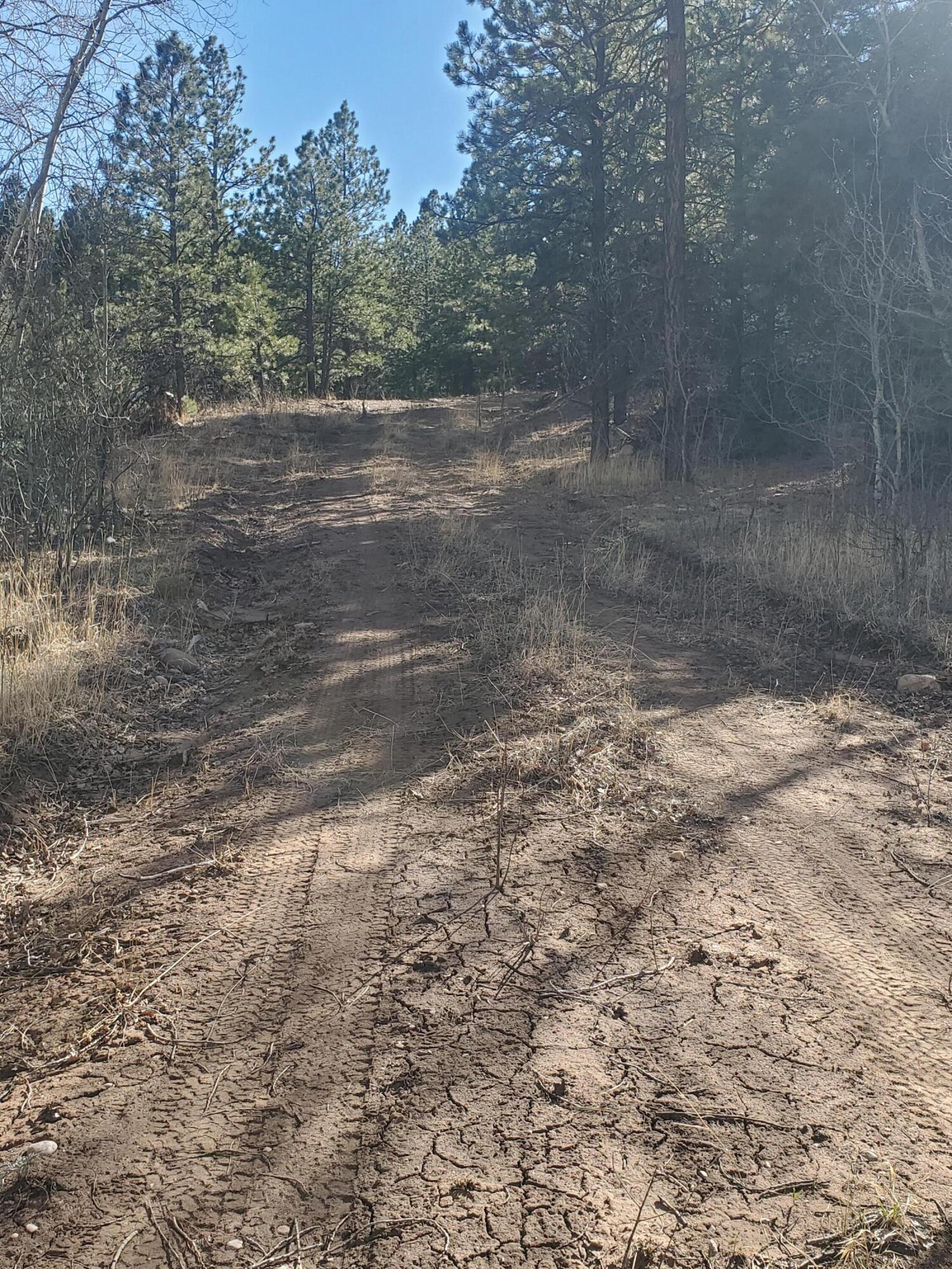 TBD County Road 42 Unit: 20